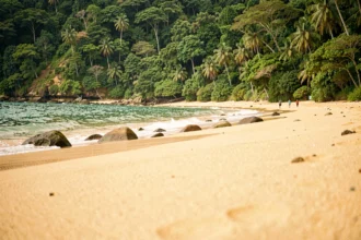 Plage sauvage et peu fréquentée de Mazunte au Mexique en basse saison, avec sable doré et eau turquoise